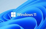 WINDOWS 11 PRO